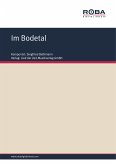 Im Bodetal (eBook, PDF)