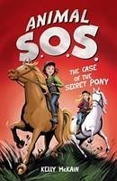The Case of the Secret Pony - McKain, Kelly