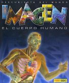 EL CUERPO HUMANO ( IMAGEN)