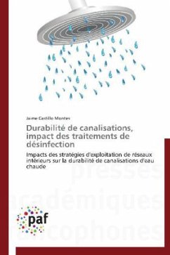 Durabilité de canalisations, impact des traitements de désinfection - Castillo Montes, Jaime