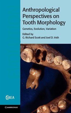 Anthropological Perspectives on Tooth Morphology