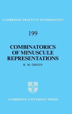 Combinatorics of Minuscule Representations - Green, R. M.