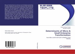 Determinants of Micro & Small Enterprise Transformation - Tamrat, Getent Ambaw;Negash, Mulugeta
