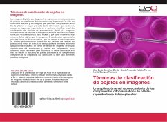 Técnicas de clasificación de objetos en imágenes - Sánchez Zurita, Ana Delia;Valdés Torres, José Armando;Campos Flamand, Ivette
