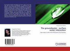 The groundwater - surface water interaction