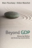 Beyond GDP