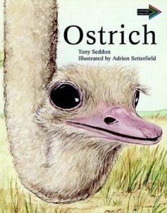Ostrich South African Edition - Seddon, Tony