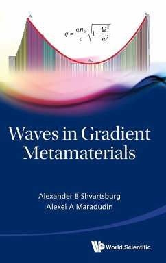 Waves in Gradient Metamaterials - Shvartsburg, Alex B.; Maradudin, Alexei A.; Shvartsburg, Alexander B.