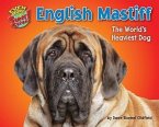 English Mastiff: The World's Heaviest Dog