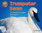 Trumpeter Swan: The World's Largest Waterbird