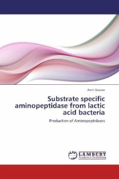 Substrate specific aminopeptidase from lactic acid bacteria