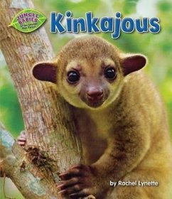 Kinkajous - Lynette, Rachel