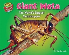 Giant Weta: The World's Biggest Grasshopper - Lunis, Natalie