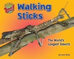 Walking Sticks: The World's Longest Insects - Gray, Leon