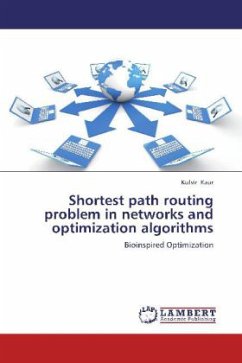 Shortest path routing problem in networks and optimization algorithms