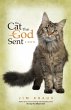 The Cat That God Sent - Bild 1