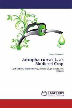 Jatropha curcas L. as Biodiesel Crop