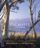 Eucalypts