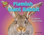Flemish Giant Rabbit: The World's Biggest Bunny