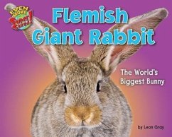 Flemish Giant Rabbit - Gray, Leon