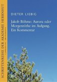 Jakob Böhme: Aurora oder Morgenröte im Aufbruch. Ein Kommentar