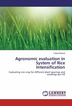 Agronomic evaluation in System of Rice Intensification