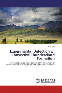 Experimental Detection of Convective Thundercloud Formation