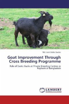 Goat Improvement Through Cross Breeding Programme