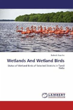 Wetlands And Wetland Birds - Guptha, Bubesh