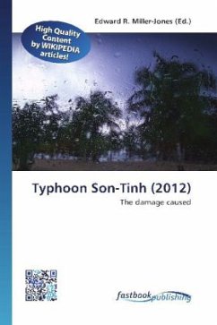 Typhoon Son-Tinh (2012)