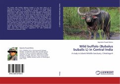 Wild buffalo (Bubalus bubalis L) in Central India