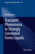 Transport Phenomena in Strongly... - Bild 1