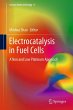 Electrocatalysis in Fuel Cells - Bild 1