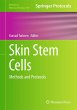 Skin Stem Cells - Bild 1