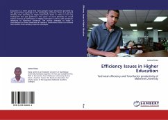 Efficiency Issues in Higher Education