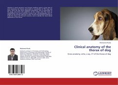 Clinical anatomy of the thorax of dog