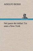 Nel paese dei dollari Tre anni a New-York