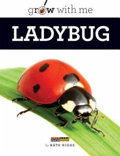 Ladybug - Riggs, Kate