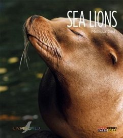 Sea Lions - Gish, Melissa