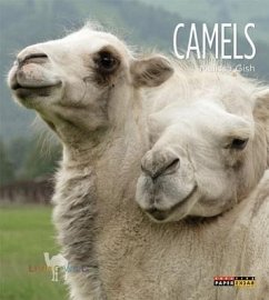 Camels - Gish, Melissa