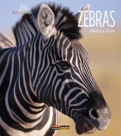 Zebras - Gish, Melissa