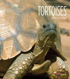 Tortoises