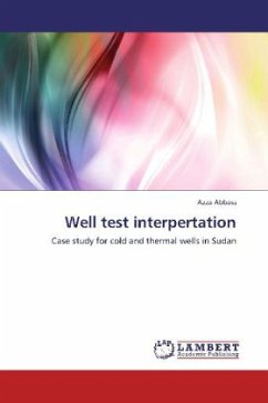 Well test interpertation