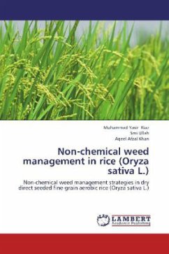 Non-chemical weed management in rice (Oryza sativa L.) - Riaz, Muhammad Yasir;Ullah, Smi;Khan, Aqeel Afzal