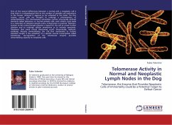 Telomerase Activity in Normal and Neoplastic Lymph Nodes in the Dog - Valentini, Fabio