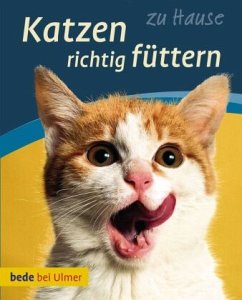 Katzen richtig füttern - Laukner, Anna