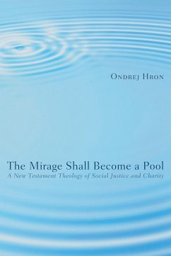 The Mirage Shall Become a Pool - Hron, Ondrej