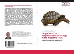 Diagnóstico de herpesvirosis en tortuga mora mediante PCR