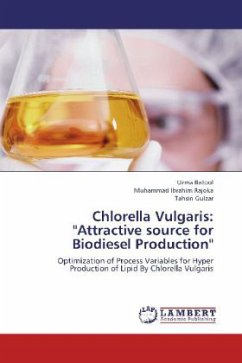 Chlorella Vulgaris: &quote;Attractive source for Biodiesel Production&quote;