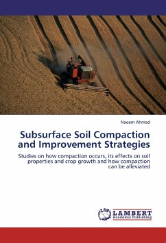 Subsurface Soil Compaction and Improvement Strategies